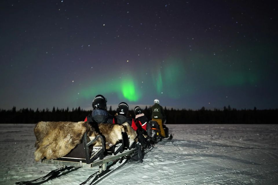 Rovaniemi: Northern Lights Sleigh Ride - What to Expect on the Ride