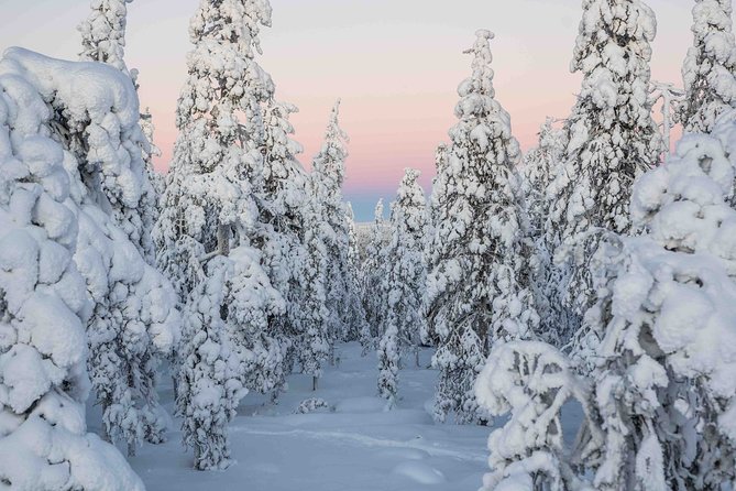 Rovaniemi Photography Tour - Professional Photographer Guides