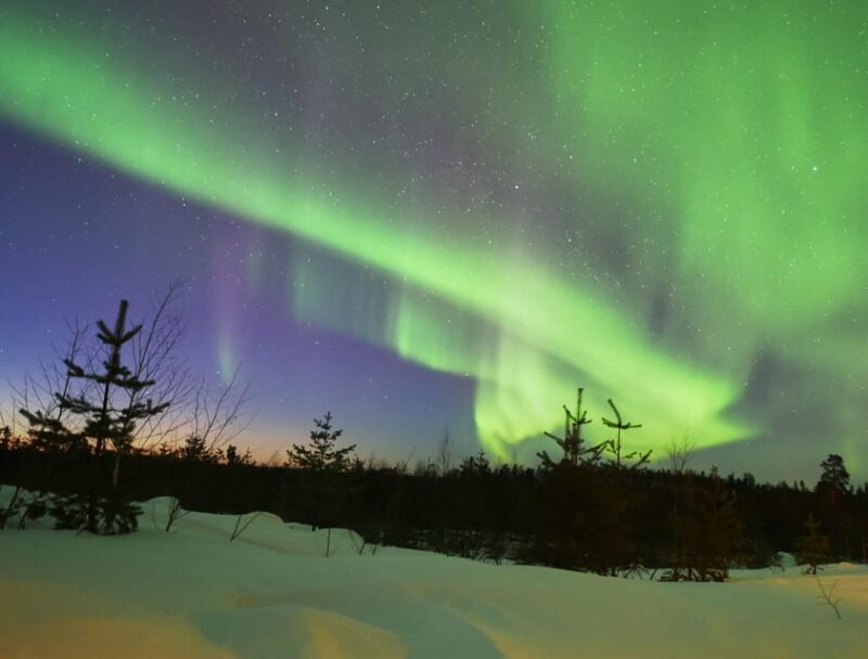 Rovaniemi: Private Aurora Hunting Tour With Meal - Food and Refreshments