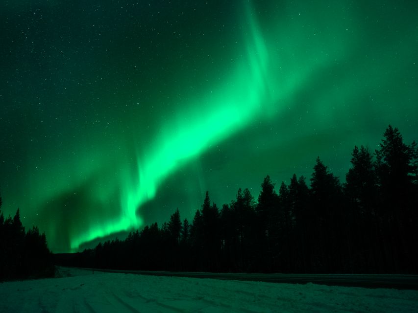 Rovaniemi: Private Tour With Guaranteed Northern Lights - Important Information for Travelers