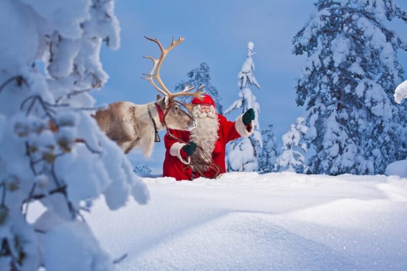 Rovaniemi: Pure Christmas Joy Half-Day Tour - Customer Reviews and Ratings