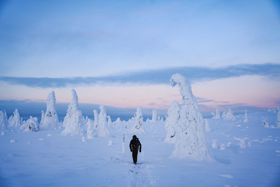 Rovaniemi: Riisitunturi National Park Day Trip With Lunch - Health and Safety Guidelines