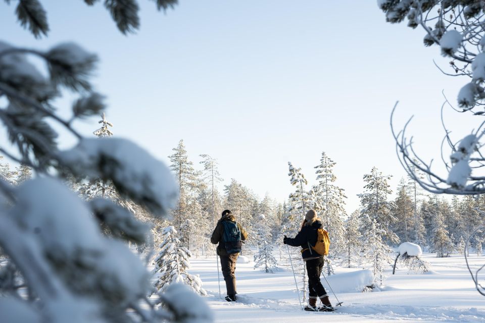 Rovaniemi: Small-group Ski Trek to the Wilderness - Important Information