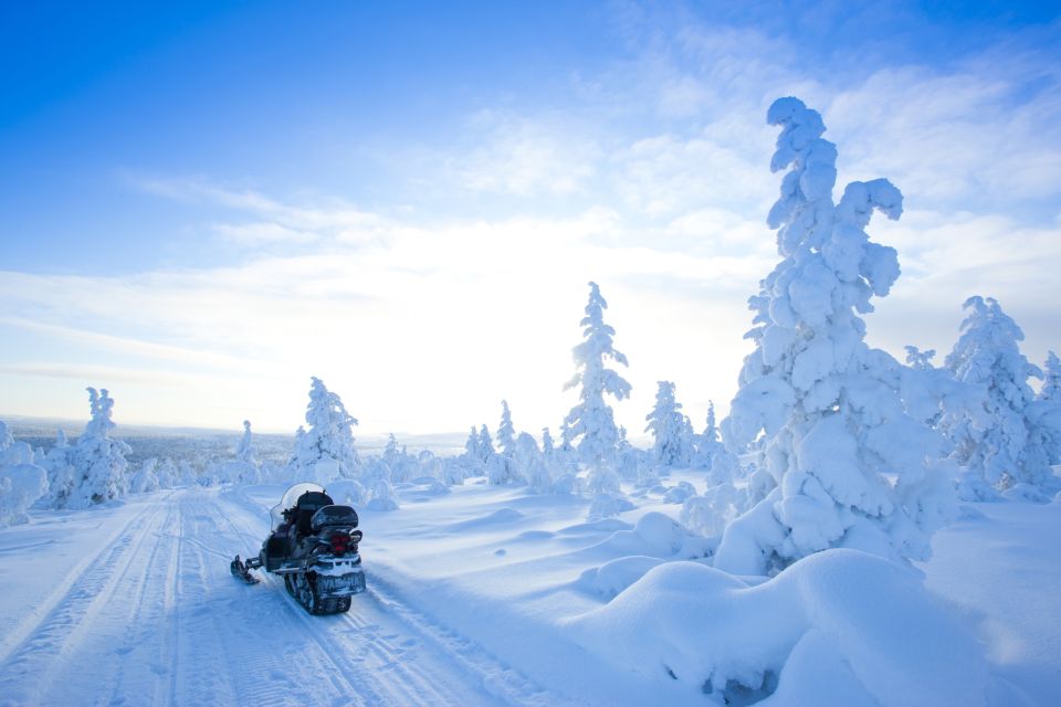 Rovaniemi: Snowmobile Safari in the Arctic Circle - Cancellation Policy