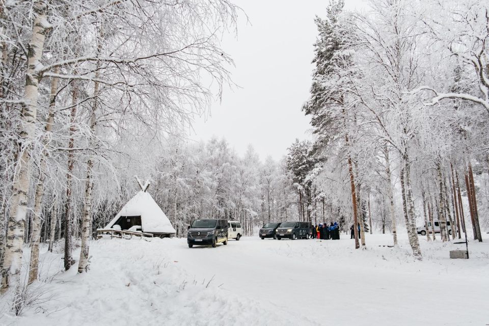 Rovaniemi: Snowmobile Safari, Reindeer & Husky Sleigh Ride - Customer Ratings