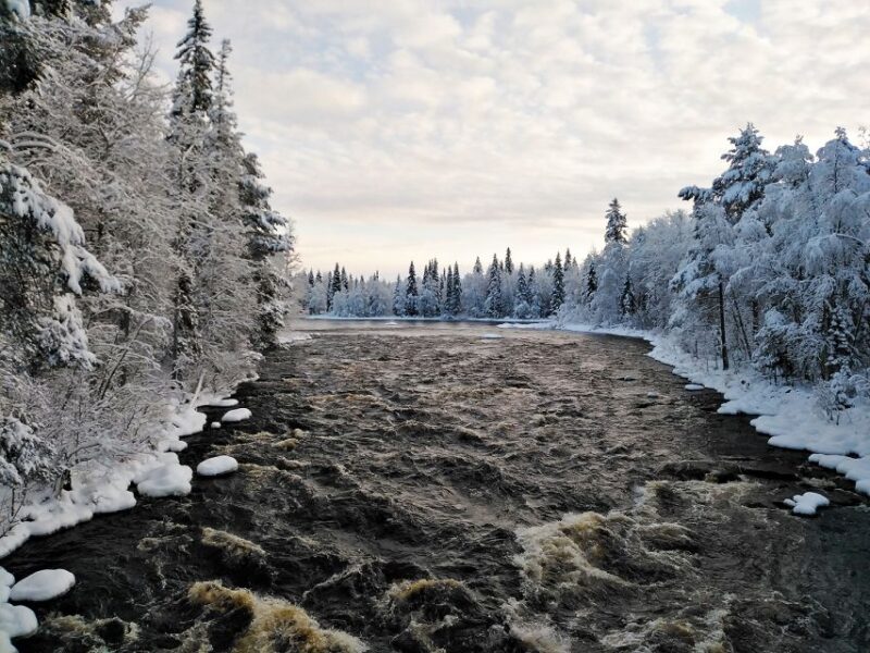 Rovaniemi: Vaattunki Hiking Arctic Circle Trail - Wildlife Encounters Along the Way