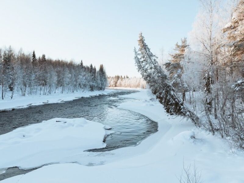 Rovaniemi: Winter Wonderland Vikaköngäs Hike & Barbeque - Frequently Asked Questions