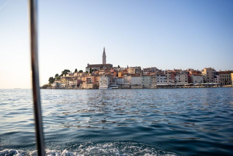 Rovinj: Dolphin Watching Sunset Speedboat Trip With Drinks - Group Size and Approach