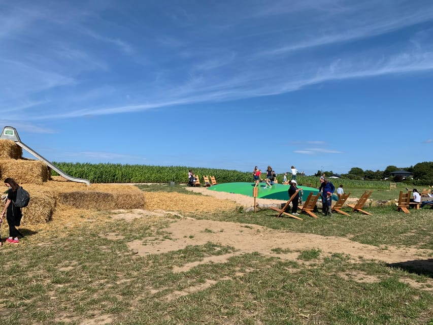 Rügen: Largest Corn Maze on the Island - Customer Feedback