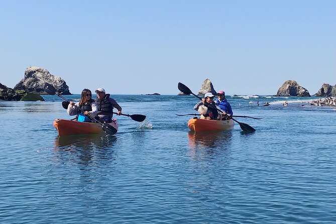 Russian River Kayak Tour at the Beautiful Sonoma Coast - Wildlife and Scenic Highlights