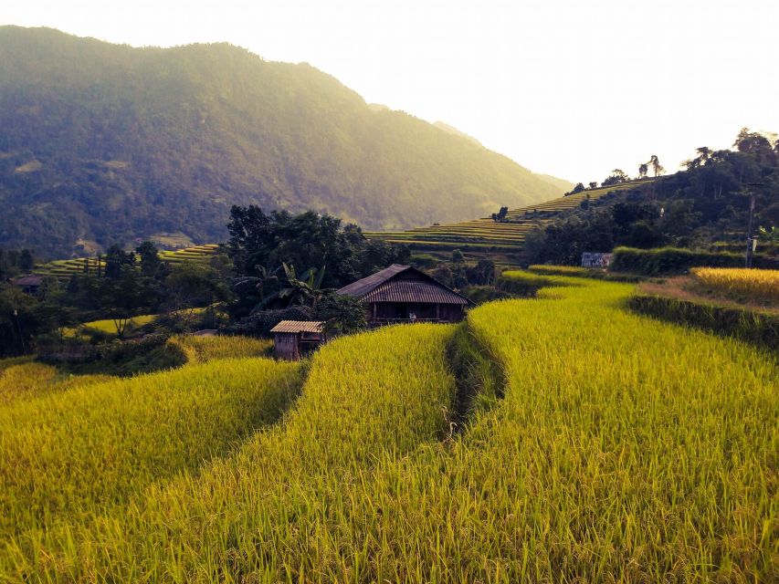 Sa Pa: Muong Hoa Valley Trek and Local Ethnic Villages Tour - Participant Suitability Information