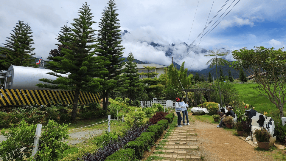 Sabah : Kundasang Day Tour Nature - Things to Bring Along