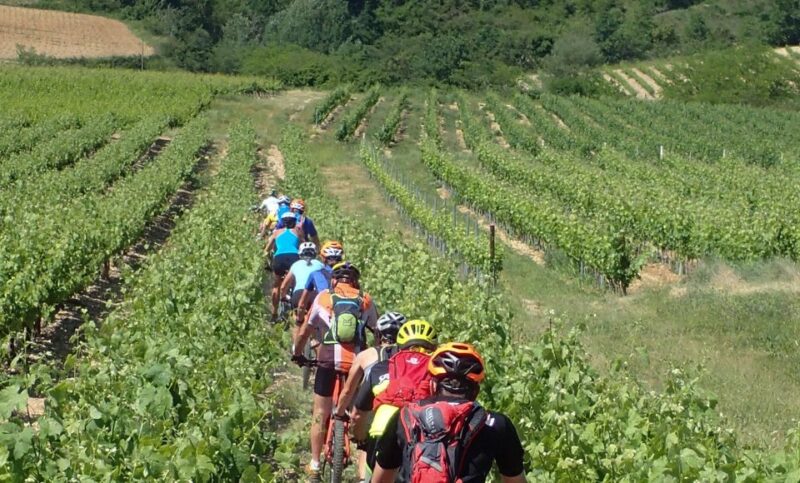 Saint Montan: Electric Bike Wine Tour & Tasting - Meeting Point and Availability