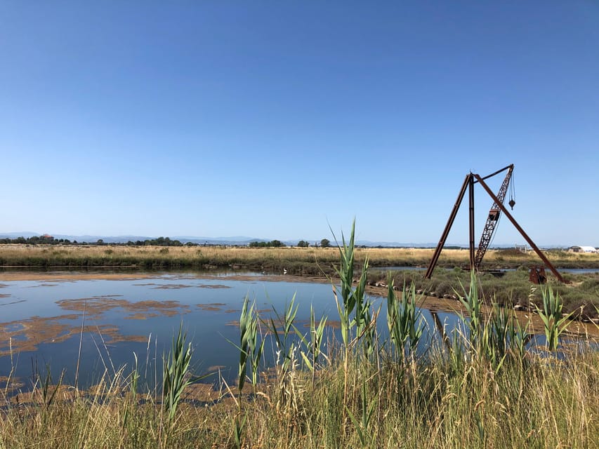 Salina Di Cervia: Traces of a Roman Salt Pan - Booking and Cancellation Policy