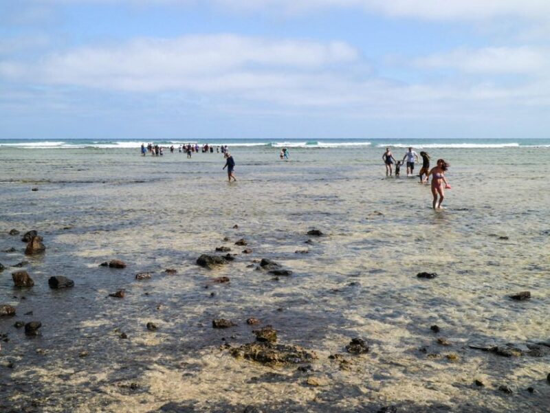 Salt Pans & Lemon Sharks Experience - Inclusions and Pricing
