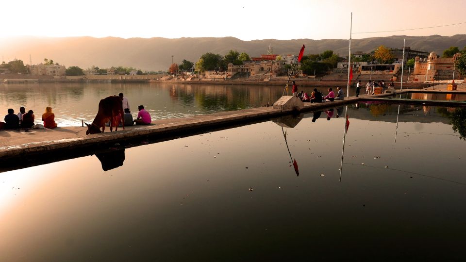 Same Day Temples Tour of Sacred City Pushkar From Jaipur - Dress Code and Restrictions