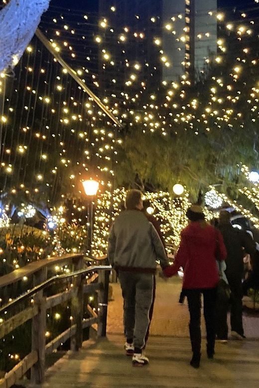 San Diego: Holiday Lights and Sights Trolley Tour - Customer Reviews