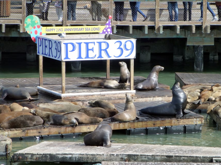 San Francisco: Hop-On Hop-Off City Bus Tour and Bay Cruise - Booking and Cancellation Policy