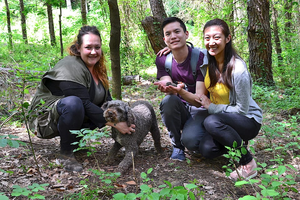 San Miniato: Truffle Hunting, Food, and Gourmet Experience - Culinary Delights and Lunch