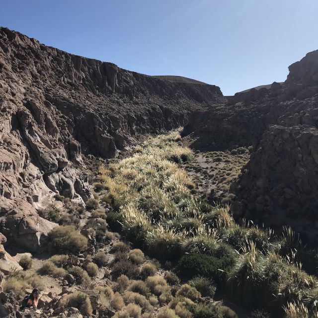 San Pedro De Atacama: Canyon Swimming Pools Trekking Trip - Important Safety Information