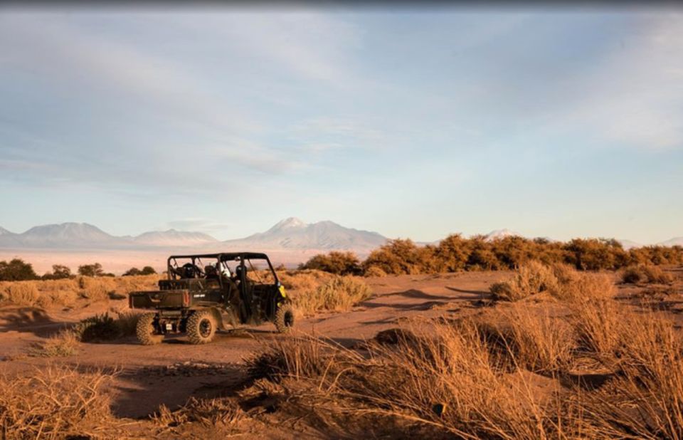 San Pedro De Atacama: Guided Buggy Tour Through the Desert - Customer Reviews and Feedback