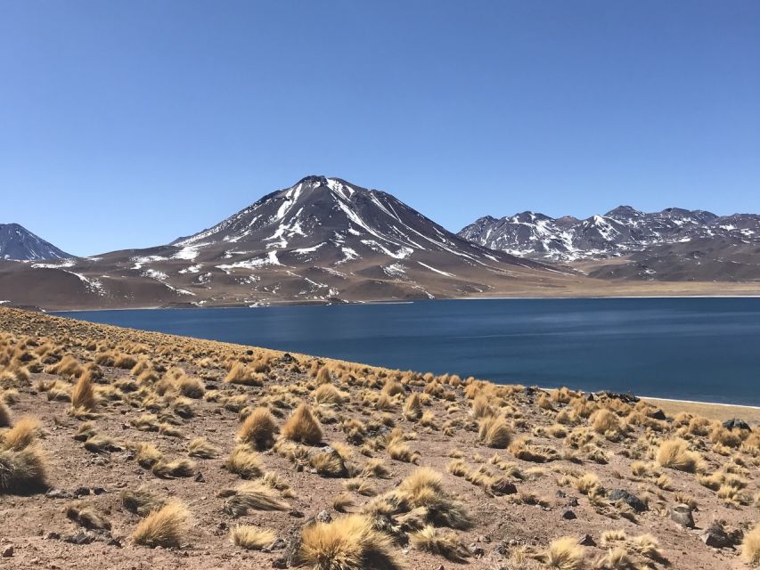 San Pedro De Atacama: Red Rocks & Altiplano Lagoons Day Trip - Customer Reviews