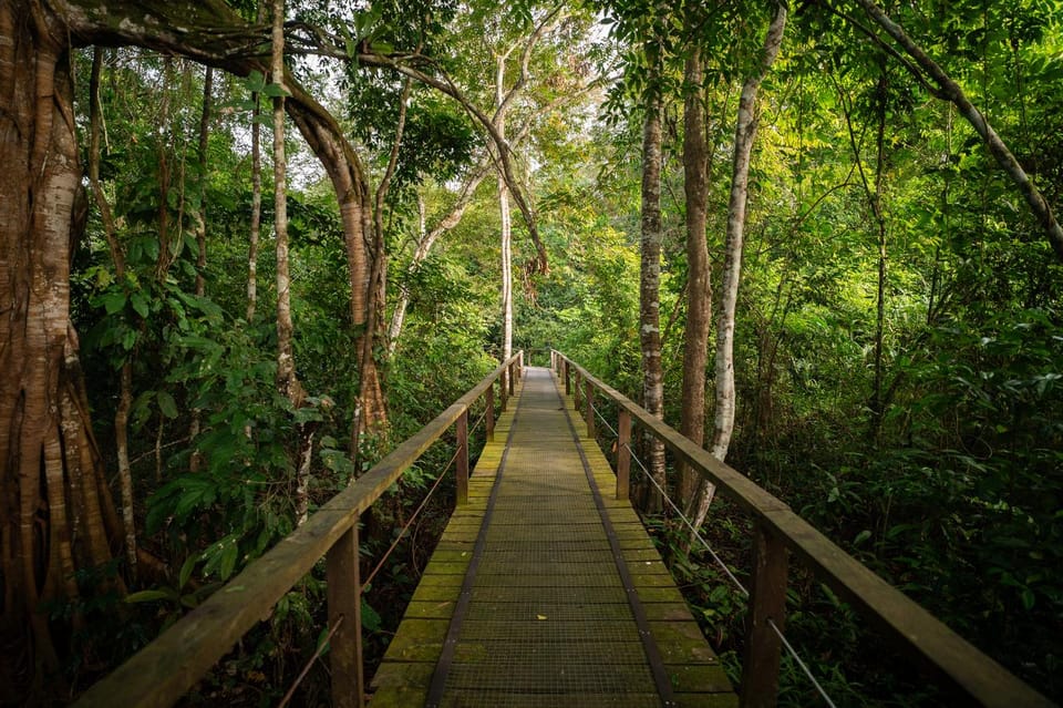 Sandakan: Kinabatangan River Wildlife Cruise With Lunch - Recommended Packing Essentials