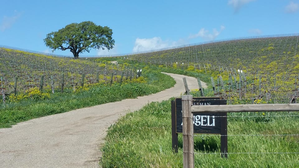 Santa Barbara: E-Bike Wine Country Tour W/ Tastings & Lunch - Meeting Point