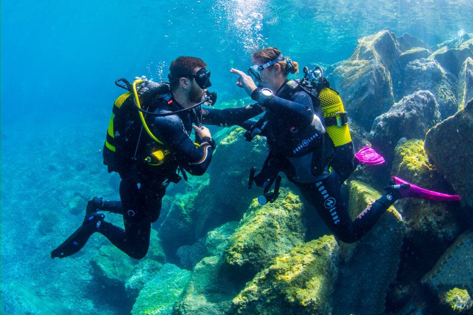 Santa Cruz De Tenerife: Beginners Diving & Introduction - Customer Ratings and Reviews