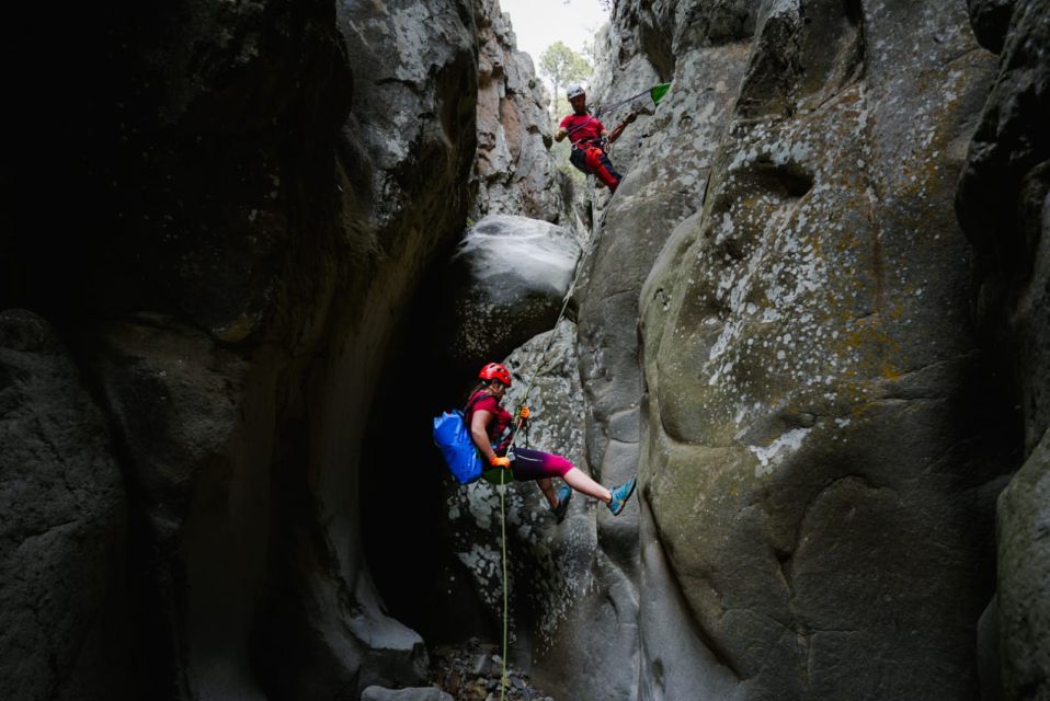 Santa Cruz De Tenerife: Vilaflor Canyoning Tour - Customer Reviews