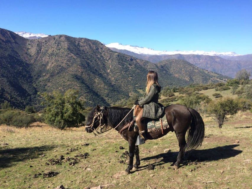 Santiago: Half-Day Private Andean Foothills Horseback Riding - Customer Feedback and Ratings