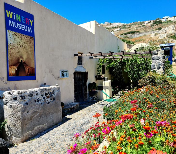 Santorini: Authentic Private Wine Tasting Tour - Argyros Winery Experience