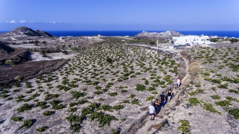 Santorini: Cooking Class and Easy Hike - Inclusions and What to Bring