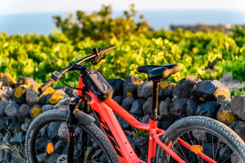 Santorini E-Bike Guided Tours - Booking and Reservations