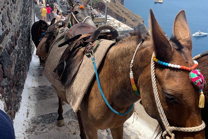 Santorini Local Life Full Day Tour - Black Sandy Beach and Family Winery