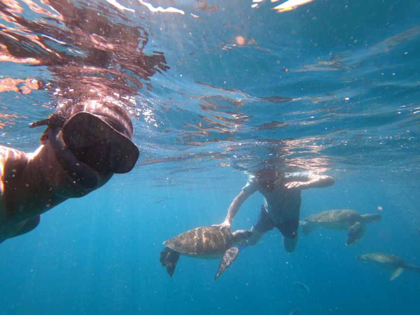 Sao Vicente: Snorkeling With Turtles Breathtaking Experience - Suitability and Recommended Gear