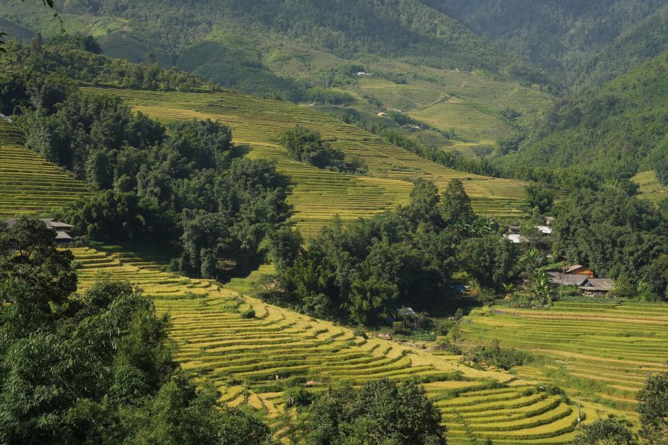 Sapa Hard Trekking Villages and Homestay 2 Days 1 Night Trip - Included Services