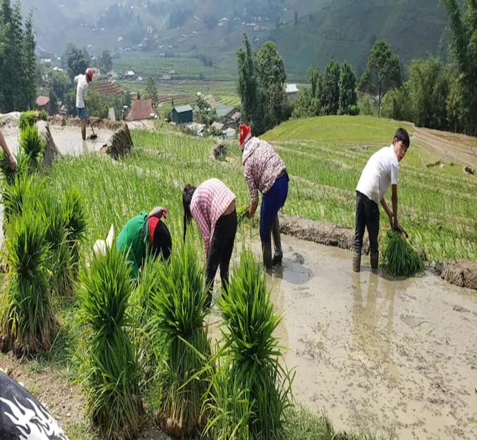 Sapa: Local Hmong Cooking Class - Meeting Point and Important Information