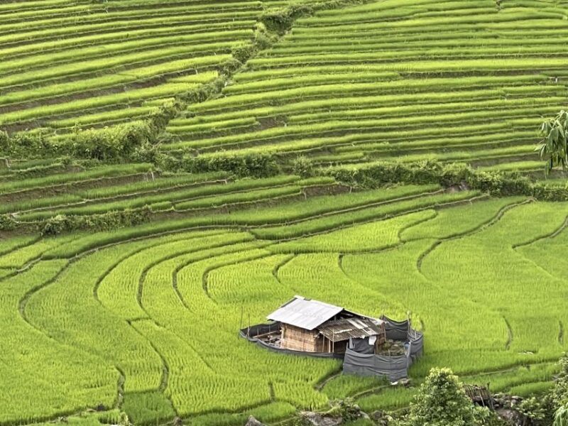 Sapa One Day Motorbike Tour - Customer Reviews
