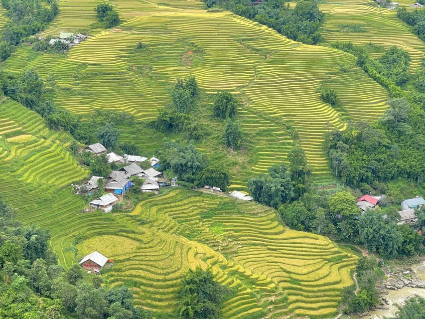 Sapa: Trekking Sapa One Day With Group Tour - Important Information