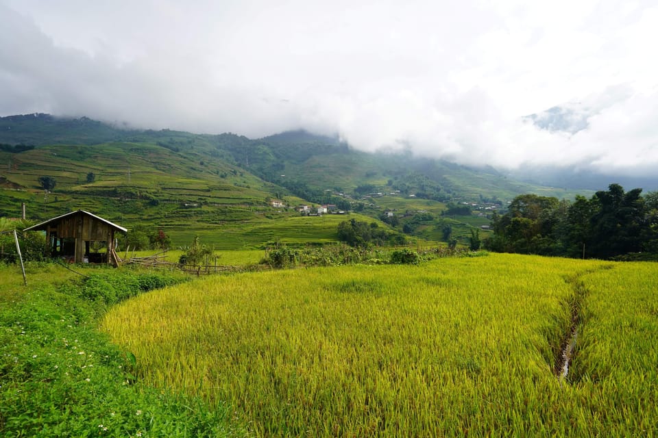 Sapa Trip to Y Linh Ho - Lao Chai - Ta Van - Cat Cat Village - Preparation and Recommendations