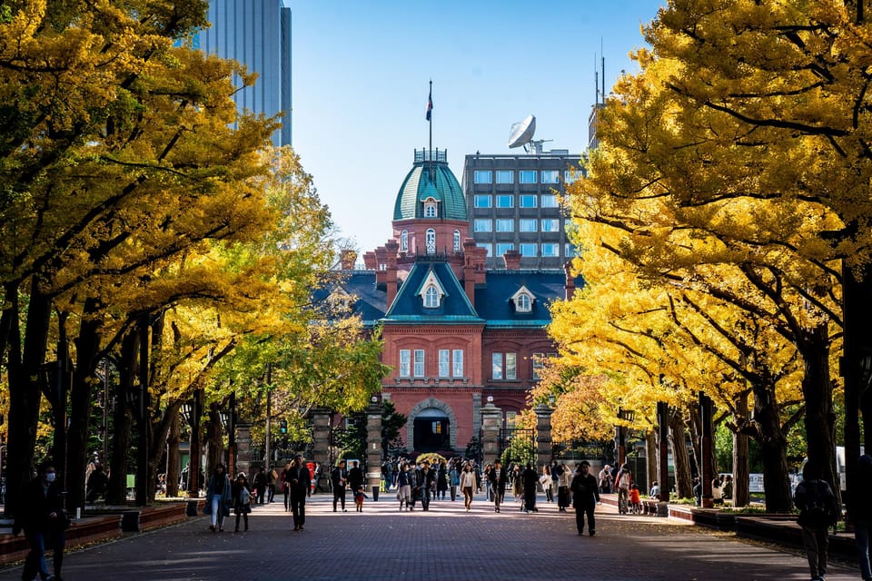 Sapporo Highlights: Art, Nature, and Architecture Tour - Accessibility and Availability