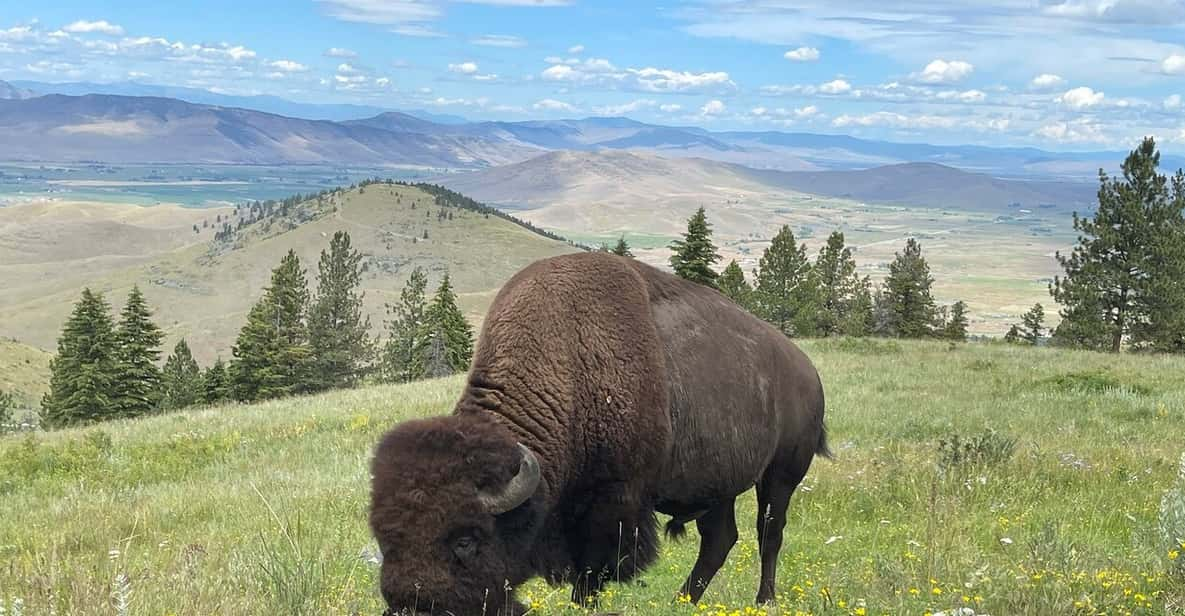 Scenic Driving Tour Flathead Lake and Bison Range - Inclusions and Exclusions