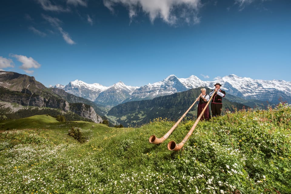 Schynige Platte - Top of Swiss Tradition Ticket - Exploring the Botanical Garden