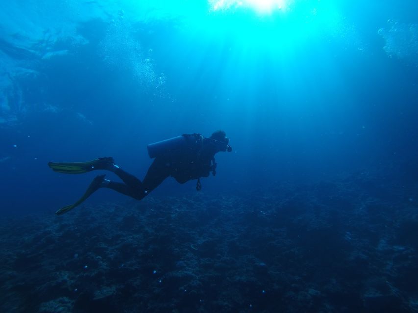 Scuba Diving at Dusk in Unawatuna - Safety and Precautions