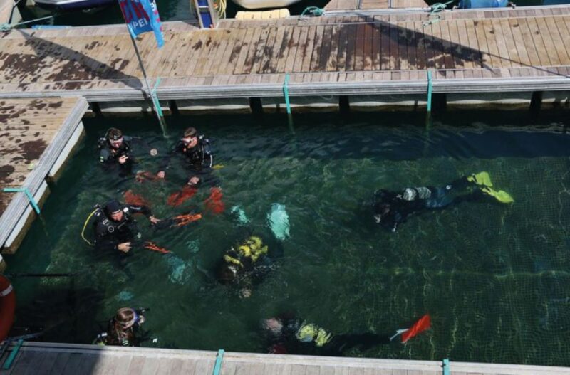 Scuba Diving Baptism in Caleta De Fuste - Equipment Provided