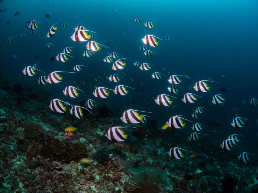 Scuba Diving in Boracay: SSI Advanced OW Certification - Specialty Trials