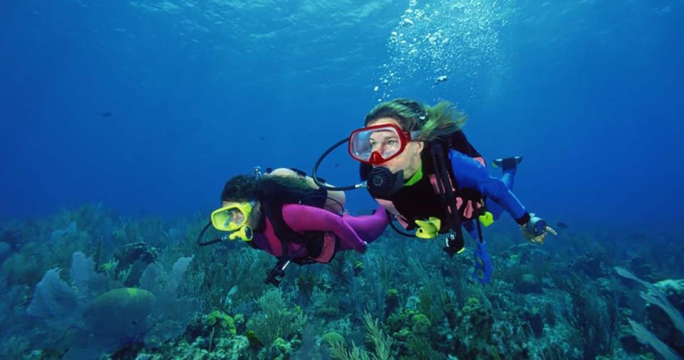 Scuba Diving Tour With Transfer From Alanya and City of Side - Participant Information