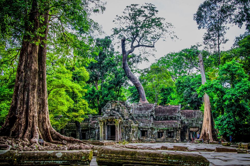 Seat-In-Coach: Small Circuit Tour With Sunrise at Angkor Wat - What to Expect