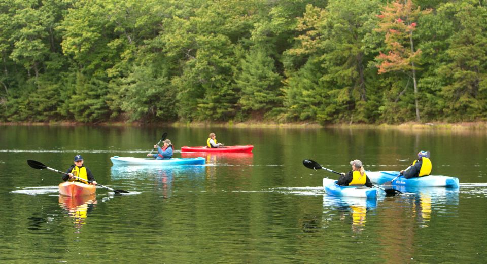 Sebago Lake: Half-Day Kayak Rental - Panoramic Lake Views